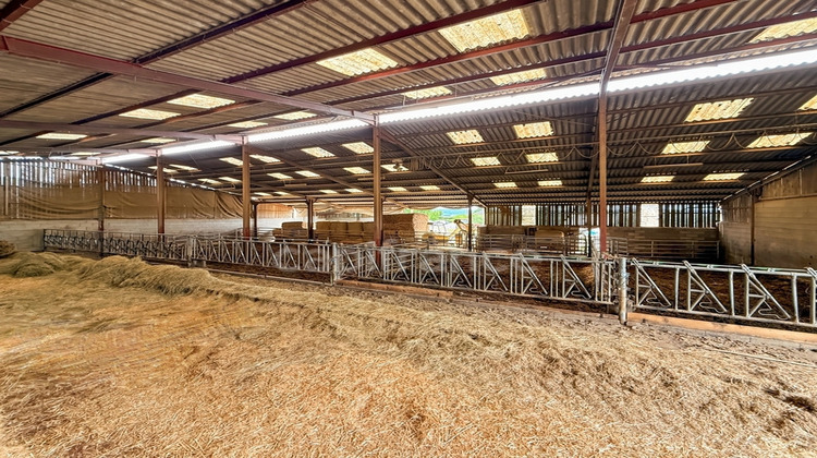 Ma-Cabane - Vente Maison JONCY, 1136 m²