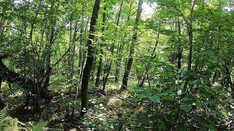 Ma-Cabane - Vente Maison Joué-lès-Tours, 212 m²