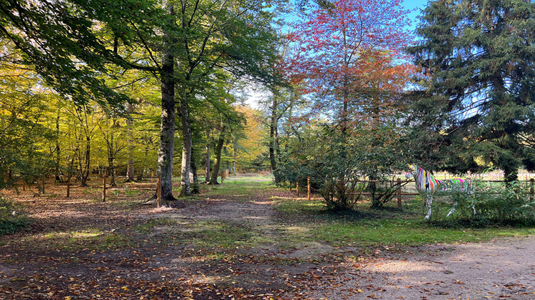 Ma-Cabane - Vente Maison JOUY-LE-POTIER, 270 m²