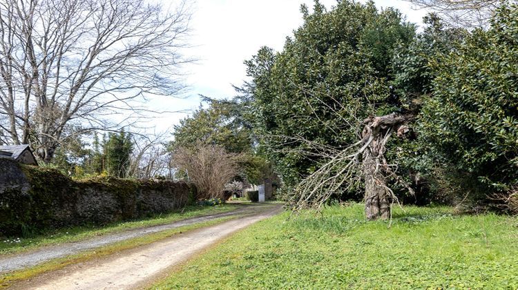 Ma-Cabane - Vente Maison JUIGNE-SUR-LOIRE, 170 m²