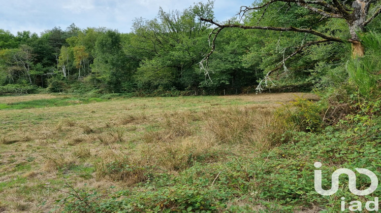 Ma-Cabane - Vente Maison Juillac, 110 m²