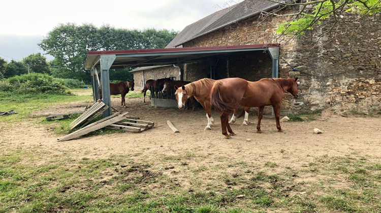 Ma-Cabane - Vente Maison JUMILHAC LE GRAND, 170 m²