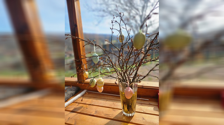 Ma-Cabane - Vente Maison JUSSARUPT, 42 m²