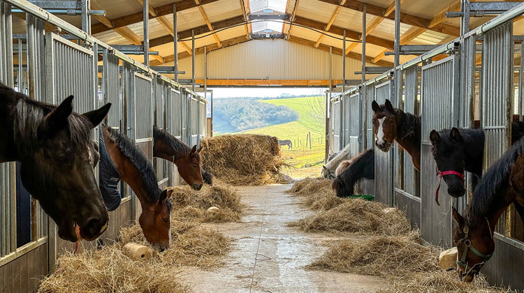 Ma-Cabane - Vente Maison JUVILLE, 180 m²