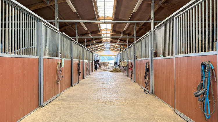 Ma-Cabane - Vente Maison JUVILLE, 180 m²