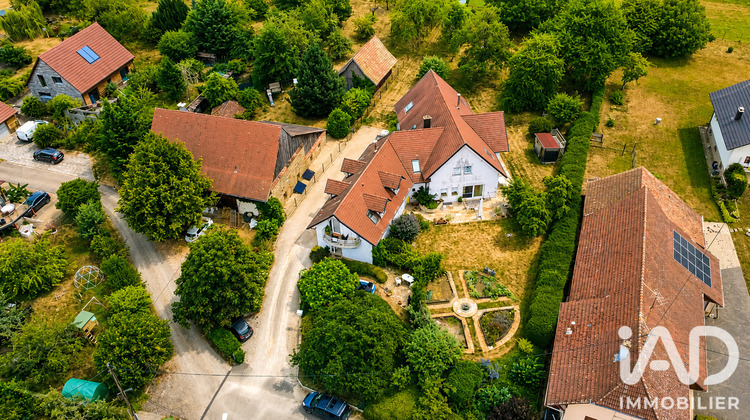Ma-Cabane - Vente Maison Koestlach, 300 m²
