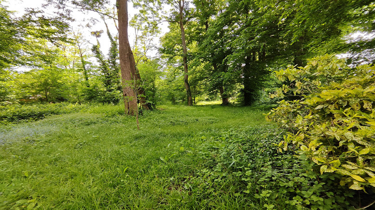 Ma-Cabane - Vente Maison L'ETANG-LA-VILLE, 210 m²