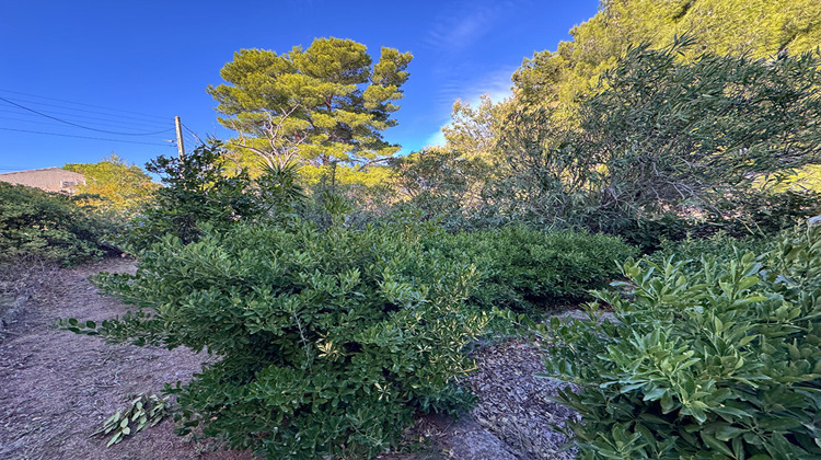 Ma-Cabane - Vente Maison L'ILE-ROUSSE, 409 m²