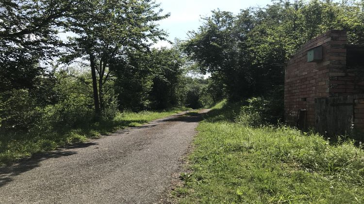 Ma-Cabane - Vente Maison L'Isle-en-Dodon, 300 m²