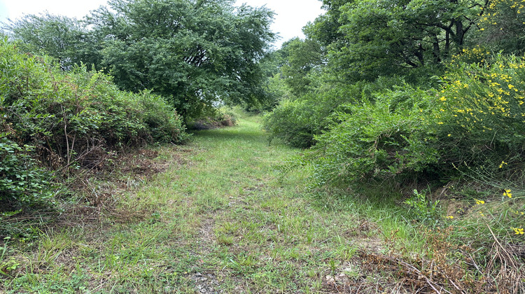 Ma-Cabane - Vente Maison L'Isle-en-Dodon, 200 m²