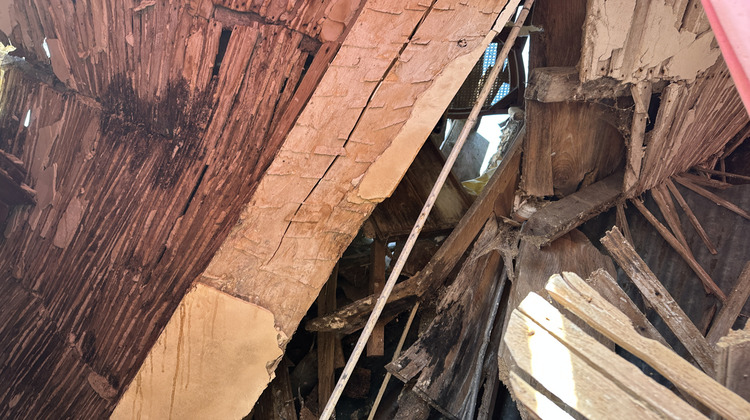 Ma-Cabane - Vente Maison L'Isle-en-Dodon, 250 m²