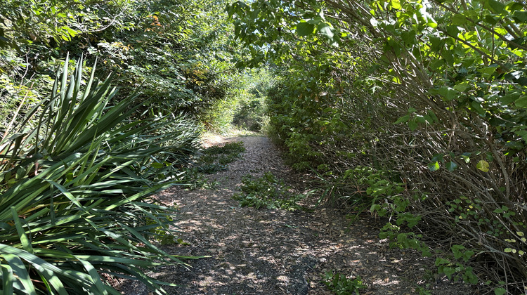 Ma-Cabane - Vente Maison L'Isle-en-Dodon, 250 m²