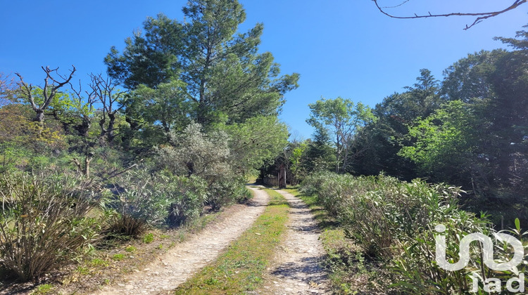 Ma-Cabane - Vente Maison L'Isle-sur-la-Sorgue, 445 m²