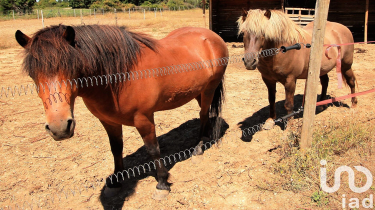Ma-Cabane - Vente Maison L'Isle-sur-la-Sorgue, 370 m²