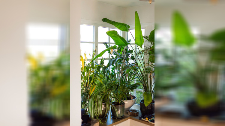 Ma-Cabane - Vente Maison La Baule-Escoublac, 150 m²