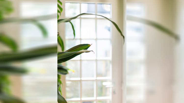 Ma-Cabane - Vente Maison La Baule-Escoublac, 150 m²