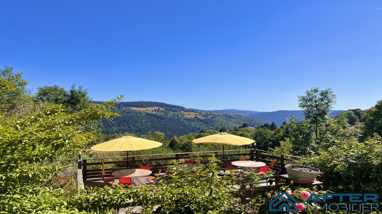 Ma-Cabane - Vente Maison La Bresse, 620 m²