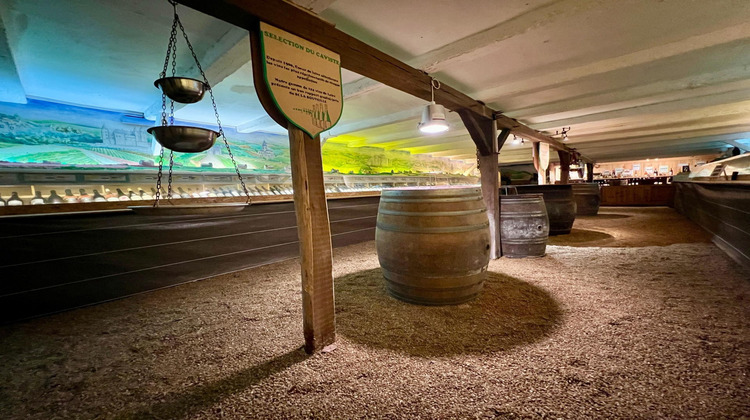 Ma-Cabane - Vente Maison La Chapelle-Heulin, 1032 m²