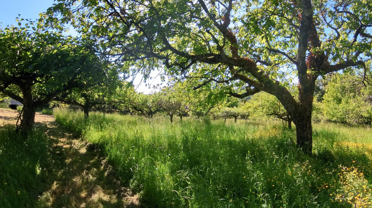 Ma-Cabane - Vente Maison LA CHAPELLE-SUR-FURIEUSE, 195 m²