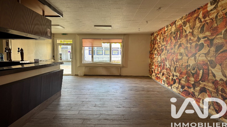 Ma-Cabane - Vente Maison La Châtaigneraie, 450 m²