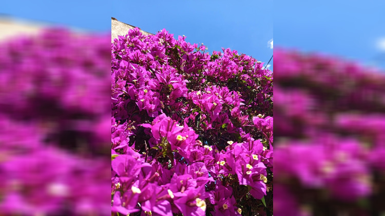 Ma-Cabane - Vente Maison La Ciotat, 146 m²