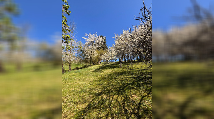 Ma-Cabane - Vente Maison La Côte-Saint-André, 290 m²