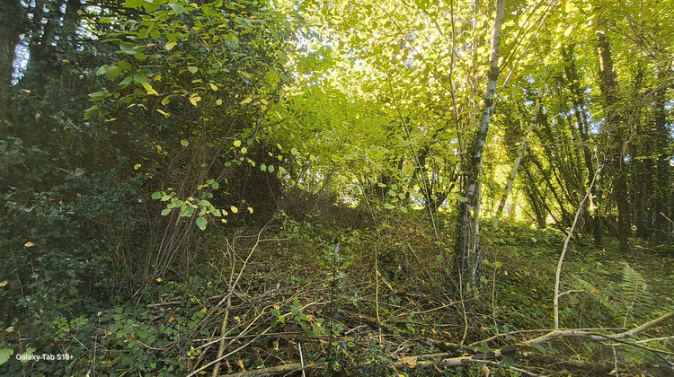 Ma-Cabane - Vente Maison La Croisille-sur-Briance, 90 m²