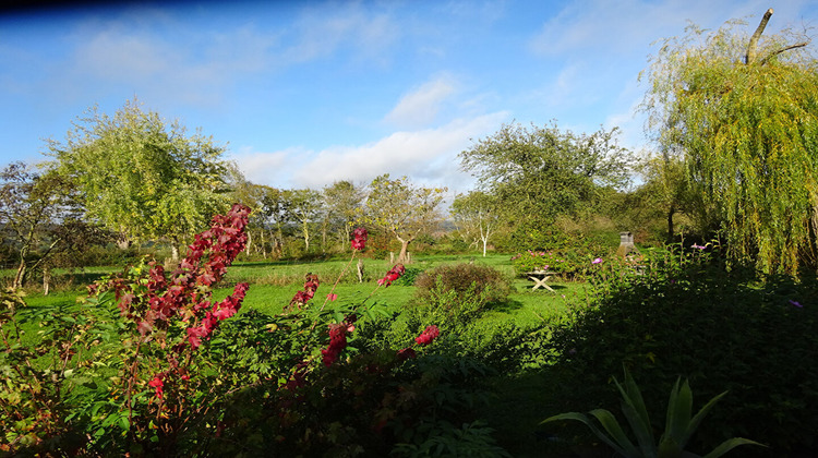 Ma-Cabane - Vente Maison LA FERTE-BERNARD, 166 m²