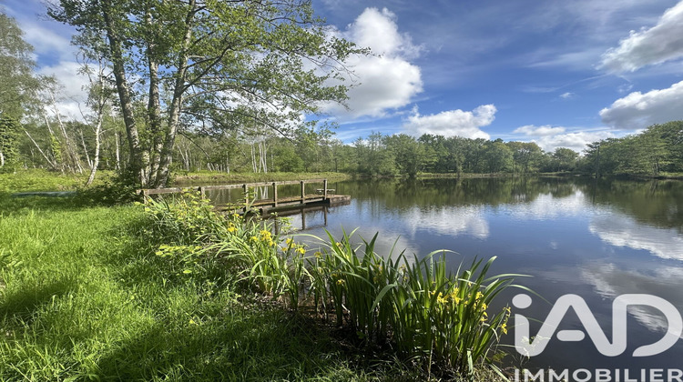 Ma-Cabane - Vente Maison La Ferté-Saint-Cyr, 408 m²