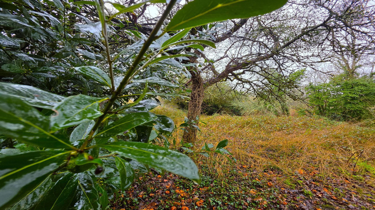 Ma-Cabane - Vente Maison La Fleche, 90 m²