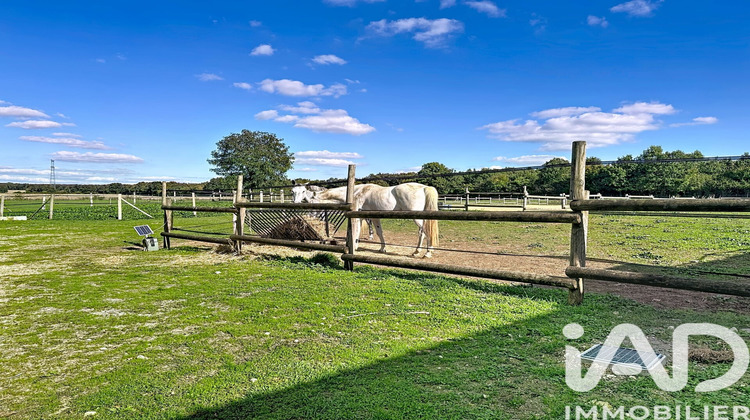 Ma-Cabane - Vente Maison La Foye-Monjault, 408 m²