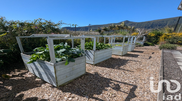 Ma-Cabane - Vente Maison La Plaine-des-Palmistes, 170 m²