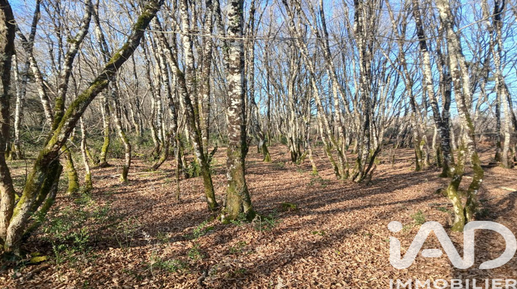 Ma-Cabane - Vente Maison La Roche-Chalais, 270 m²