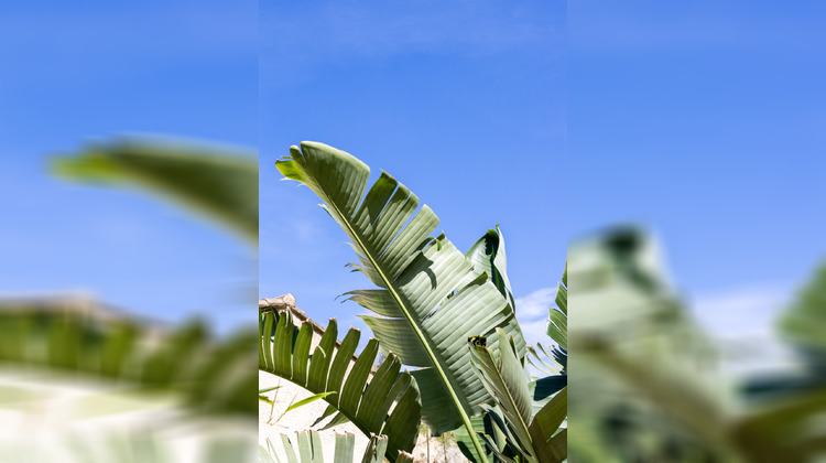 Ma-Cabane - Vente Maison La Seyne-sur-Mer, 170 m²