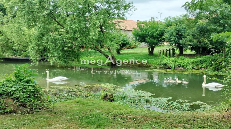 Ma-Cabane - Vente Maison LA TAILLEE, 205 m²