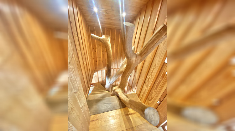 Ma-Cabane - Vente Maison La Teste-de-Buch, 155 m²