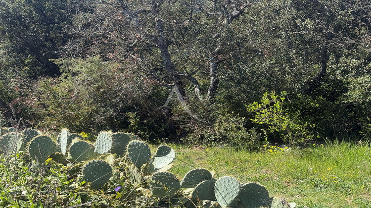 Ma-Cabane - Vente Maison LA VERDIERE, 146 m²