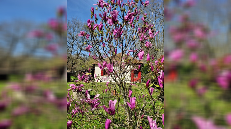 Ma-Cabane - Vente Maison LABASTIDE D ARMAGNAC, 90 m²
