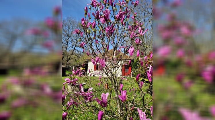 Ma-Cabane - Vente Maison LABASTIDE D ARMAGNAC, 90 m²
