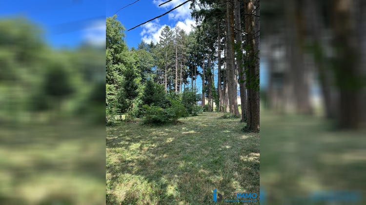 Ma-Cabane - Vente Maison Labastide-Rouairoux, 320 m²