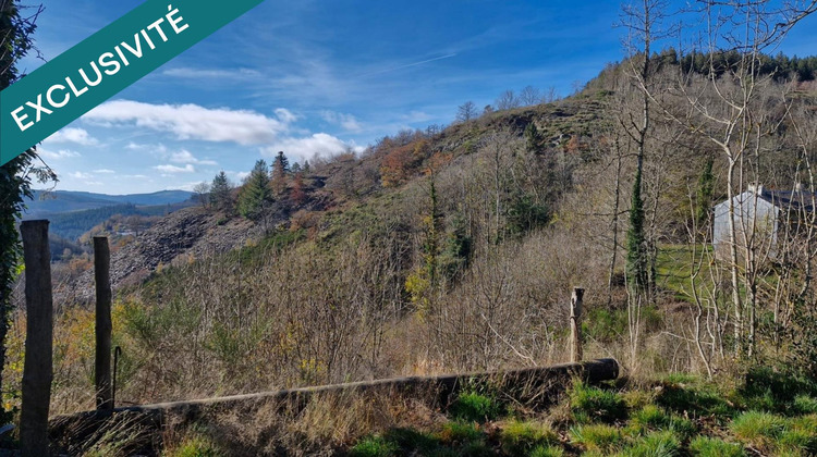 Ma-Cabane - Vente Maison Lacaune, 168 m²