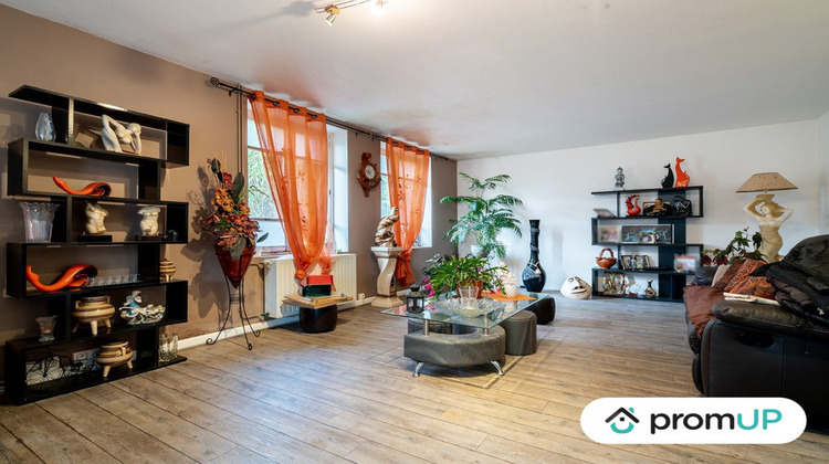 Ma-Cabane - Vente Maison Ladignac-le-Long, 346 m²