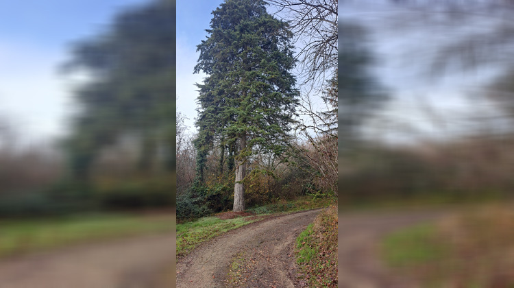 Ma-Cabane - Vente Maison Lafitte, 70 m²