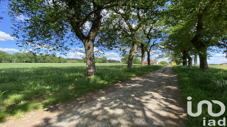 Ma-Cabane - Vente Maison Lamothe, 278 m²