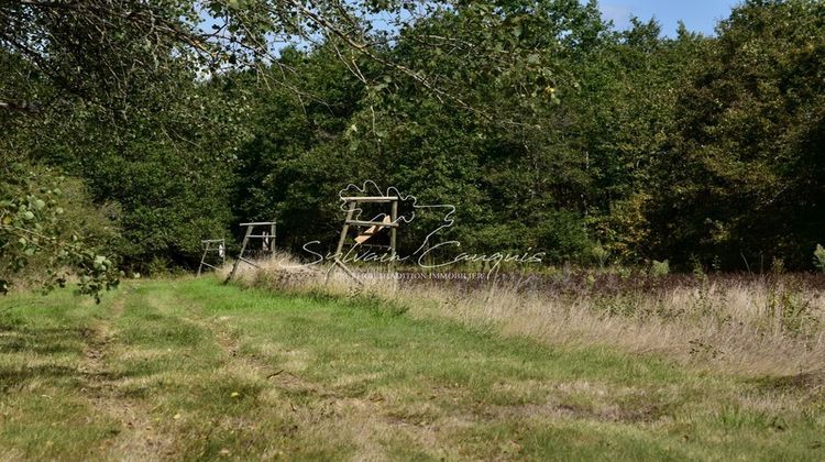 Ma-Cabane - Vente Maison LAMOTTE BEUVRON, 510 m²