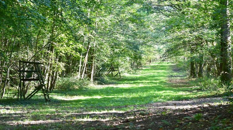 Ma-Cabane - Vente Maison LAMOTTE BEUVRON, 510 m²