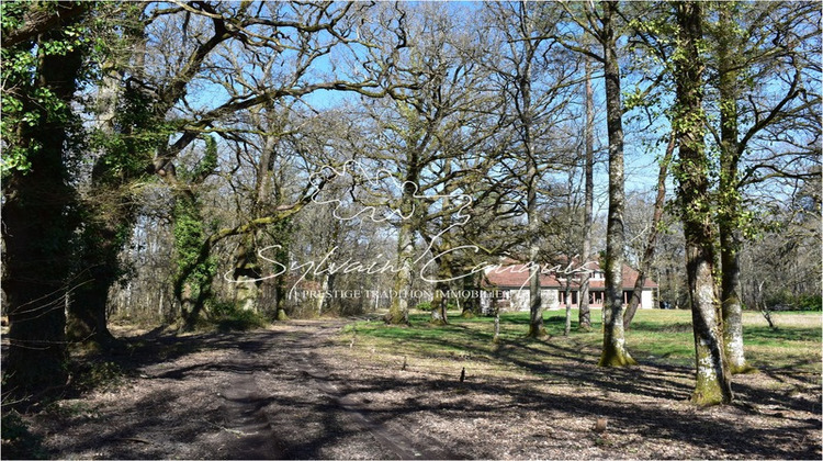 Ma-Cabane - Vente Maison LAMOTTE BEUVRON, 280 m²