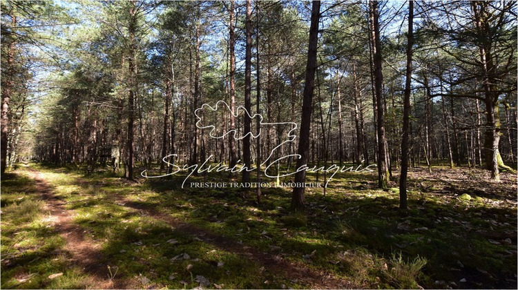 Ma-Cabane - Vente Maison LAMOTTE BEUVRON, 280 m²