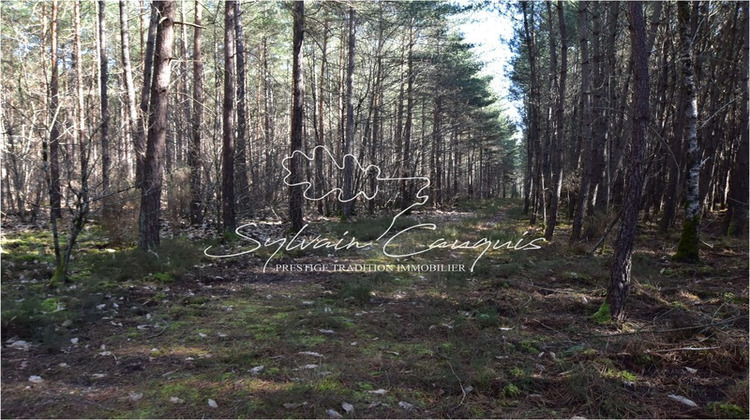 Ma-Cabane - Vente Maison LAMOTTE BEUVRON, 280 m²