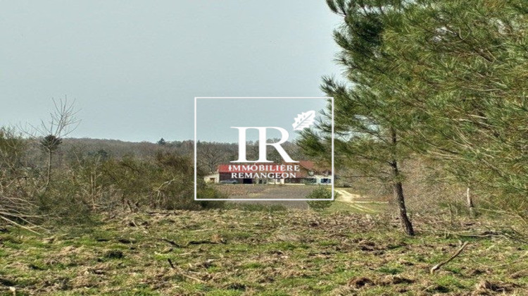 Ma-Cabane - Vente Maison Lamotte-Beuvron, 230 m²
